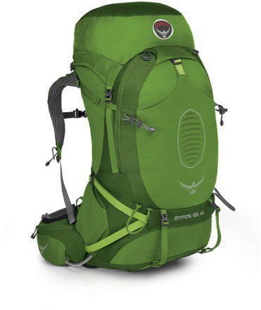 Backpacking pack